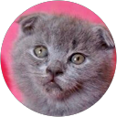 Jyem Jacobs profilbild