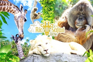 Rio Safari djurpark i Elche (38 km)